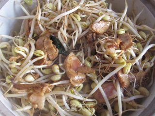 简单家常菜---沙锅豆芽的做法步骤：5