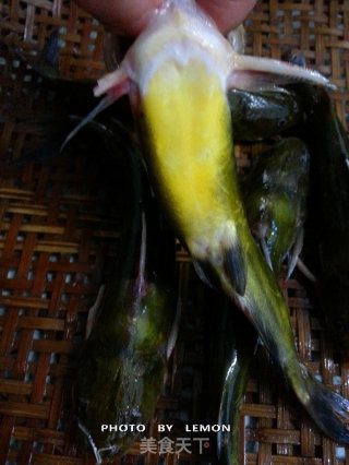 黄颡鱼炖豆腐的做法步骤：5
