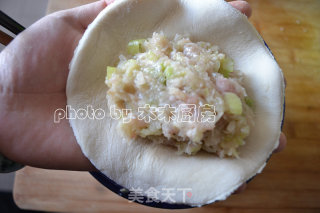 萝卜丝肉馅饼的做法步骤：10