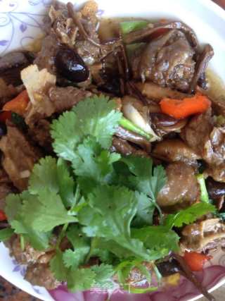 茶树菇焖鹅肉的做法步骤：13