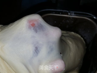 葡萄干土司的做法步骤：4