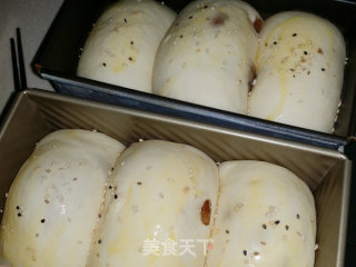 葡萄干土司的做法步骤：13