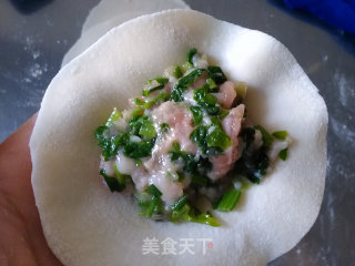 芹菜猪肉饺的做法步骤：9