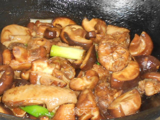香菇炖鸡的做法步骤：4