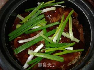 酱焖鱼块——无水版的做法步骤：10