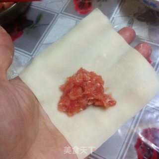 DIY云吞的做法步骤：3