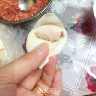 DIY云吞的做法步骤：6