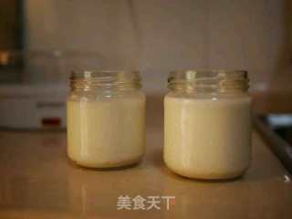 自制原味酸奶的做法步骤：4