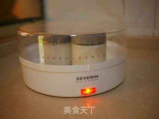 自制原味酸奶的做法步骤：5