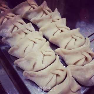 香菇猪肉水饺的做法步骤：4
