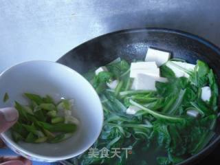 小白菜豆腐汤的做法步骤：5