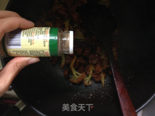 冬季食疗补品---多蔬煨羊肉的做法步骤：11