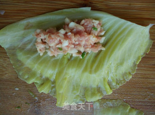 马蹄包菜卷的做法步骤：4