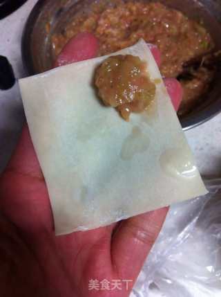 芹菜猪肉云吞的做法步骤：7
