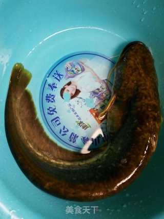 豆豉焖鲶鱼的做法步骤：1