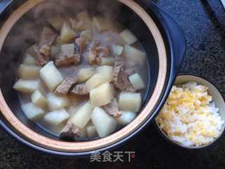 清汤萝卜炖牛腩的做法步骤：3