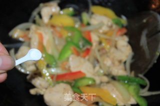 墨西哥鸡肉卷饼的做法步骤：11