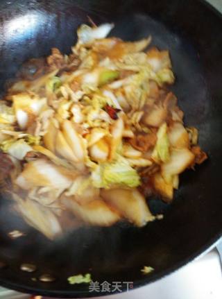 白菜豆腐炖粉条的做法步骤：4
