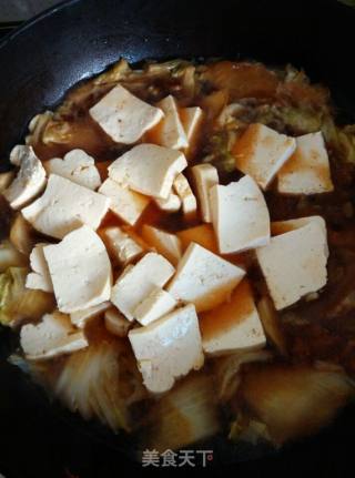 白菜豆腐炖粉条的做法步骤：6