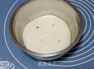 【法式蔓越莓麦穗包】：脆皮面包爱好者的福音的做法步骤：7