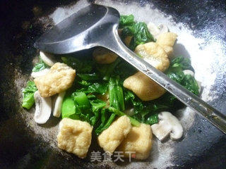 蘑菇油豆腐炒天菜芯的做法步骤：10