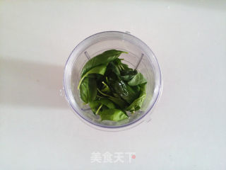 青酱 【意式Pesto】的做法步骤：4