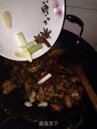 鸡肉炖土豆的做法步骤：5