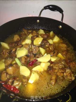 鸡肉炖土豆的做法步骤：7
