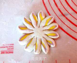 菊花馒头的做法步骤：10