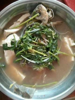 鲫鱼豆芽豆腐汤的做法步骤：9
