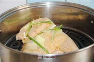 葱油鸡的做法步骤：3
