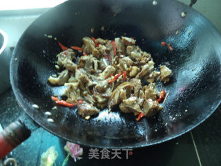 米椒烧羊肉的做法步骤：8