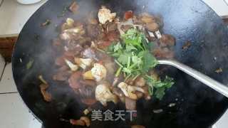 蘑菇烧菜花的做法步骤：10