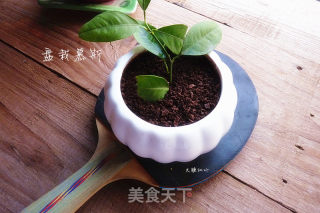 盘栽慕斯的做法步骤：12