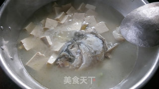 鱼头炖豆腐的做法步骤：5