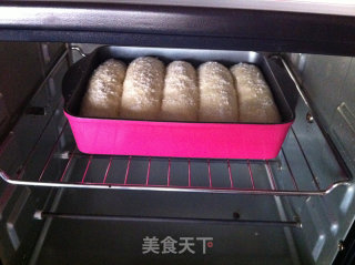 椰蓉排包的做法步骤：9