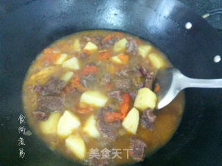 番茄土豆炖牛腩的做法步骤：15