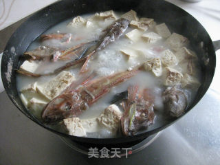红头鱼豆腐汤的做法步骤：9