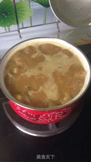 咖喱土豆鸡肉的做法步骤：16