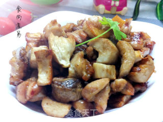 杏鲍菇孜然鸡腿肉的做法步骤：9