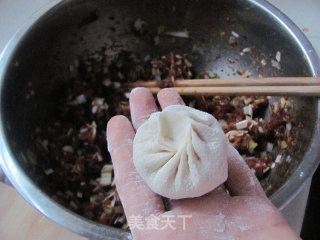大葱牛肉包的做法步骤：9