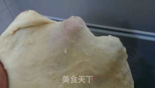红薯奶油花形包的做法步骤：2