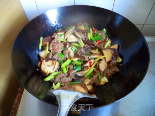 鲜冬菇炒牛肉的做法步骤：8