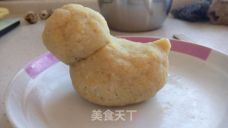春日母鸡抱蛋孵小鸡的做法步骤：8