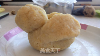 春日母鸡抱蛋孵小鸡的做法步骤：9