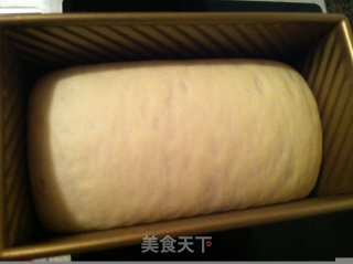 紫甘蓝双色土司的做法步骤：7
