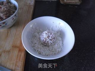 包虾珍珠丸的做法步骤：5