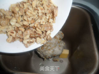 核桃小面包的做法步骤：3