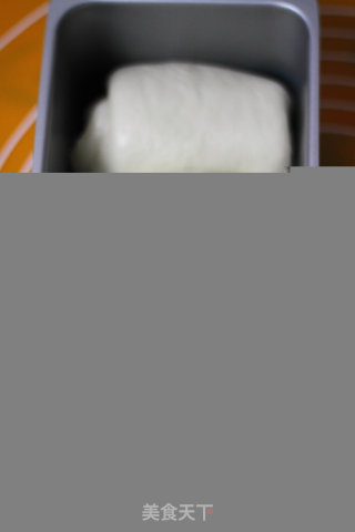 85%含水量的奶香吐司的做法步骤：5