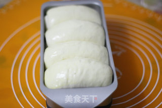 85%含水量的奶香吐司的做法步骤：6